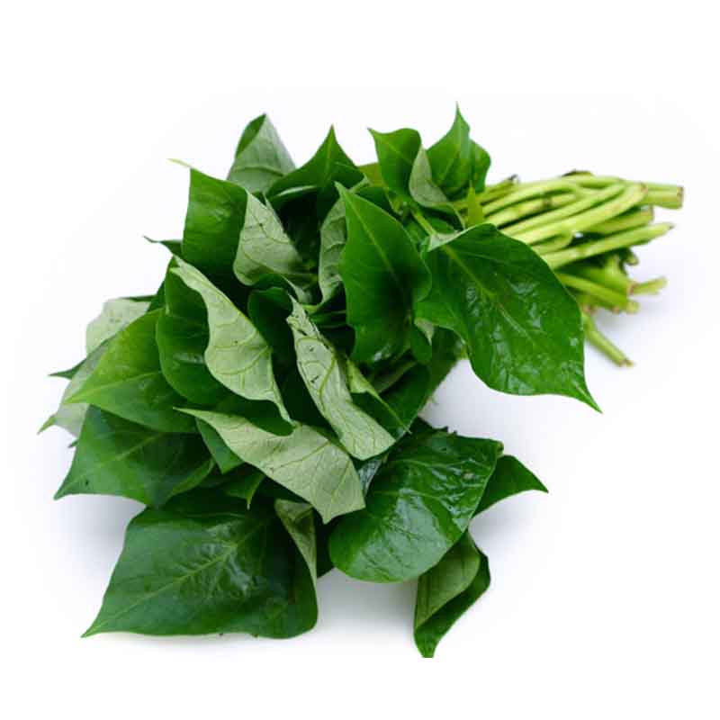 新鲜番薯叶(约500g)