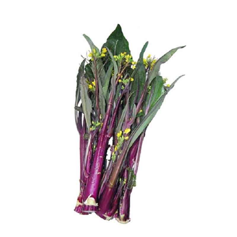 精品紫菜苔 红菜苔(约400克)