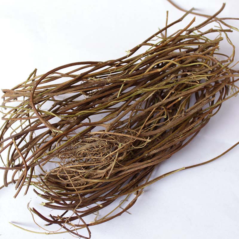 孕妇可以喝鸡骨草汤吗_鸡骨草豆荚可以吃吗_豆荚可以连接vpn